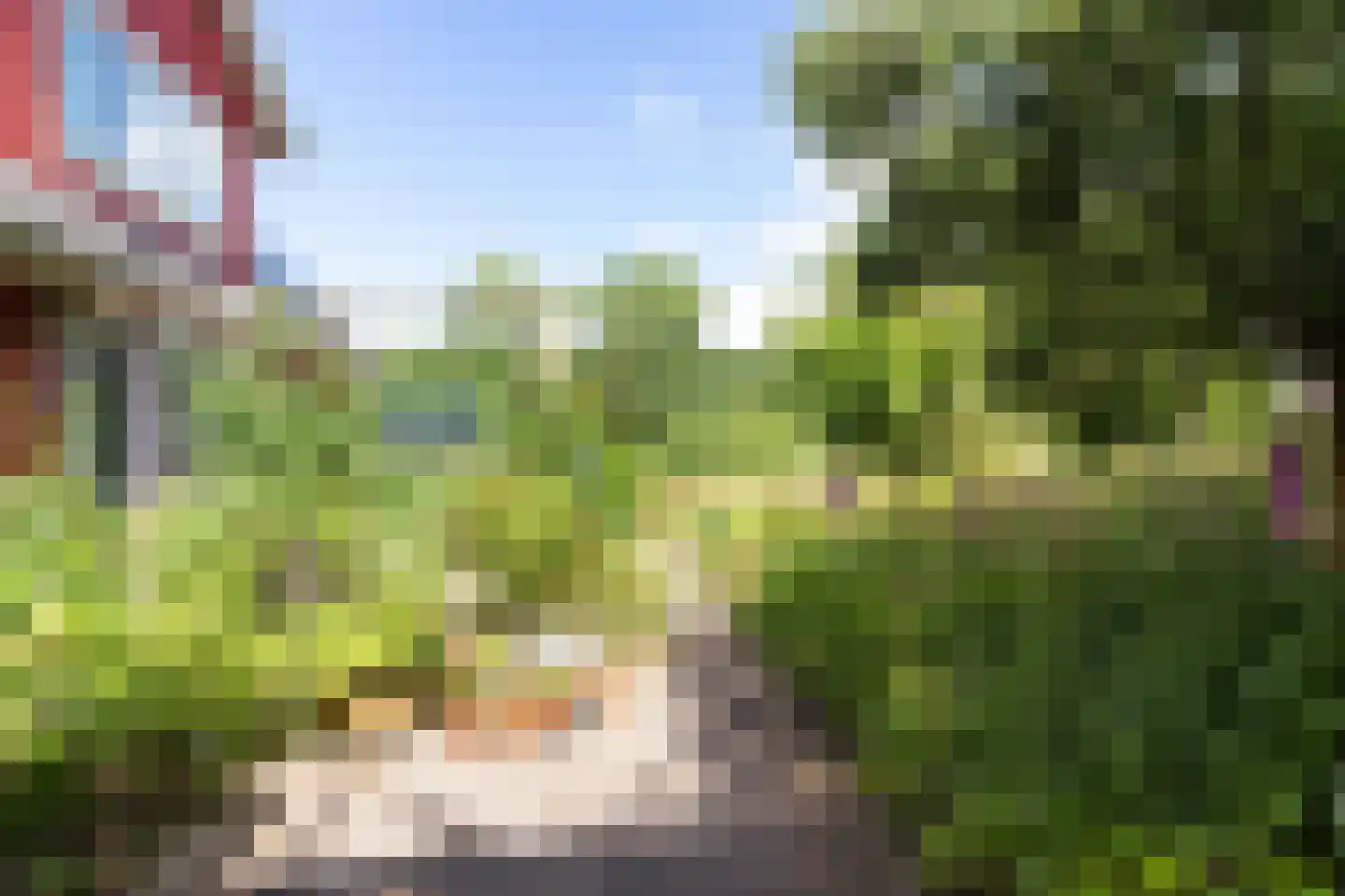Wytlânspaed 2 B Bakhuizen thumbnail 41