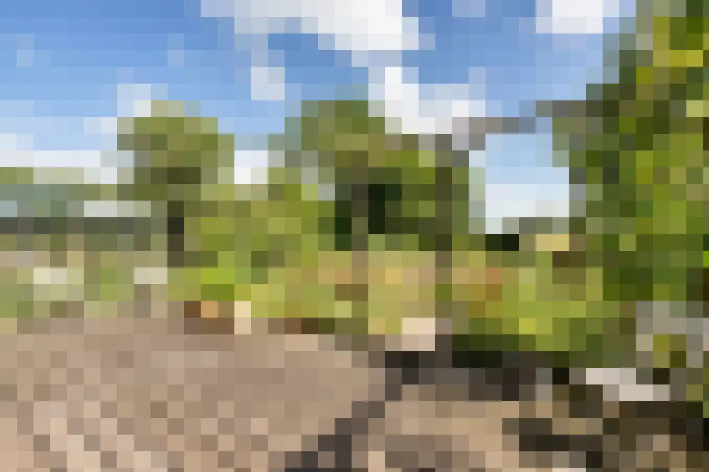 Wytlânspaed 2 B Bakhuizen thumbnail 42