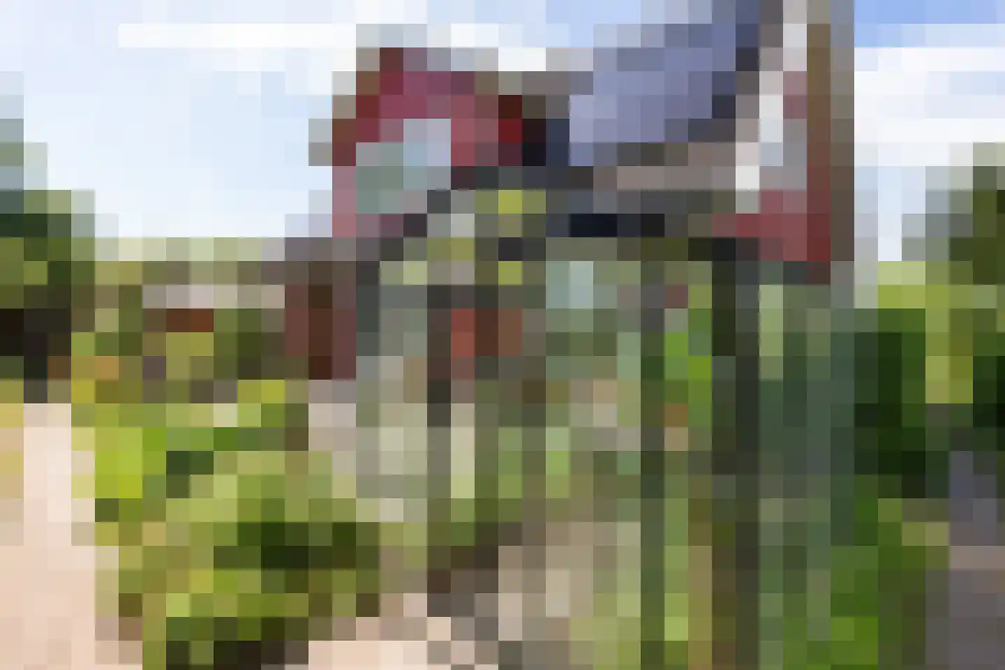 Wytlânspaed 2 B Bakhuizen thumbnail 44