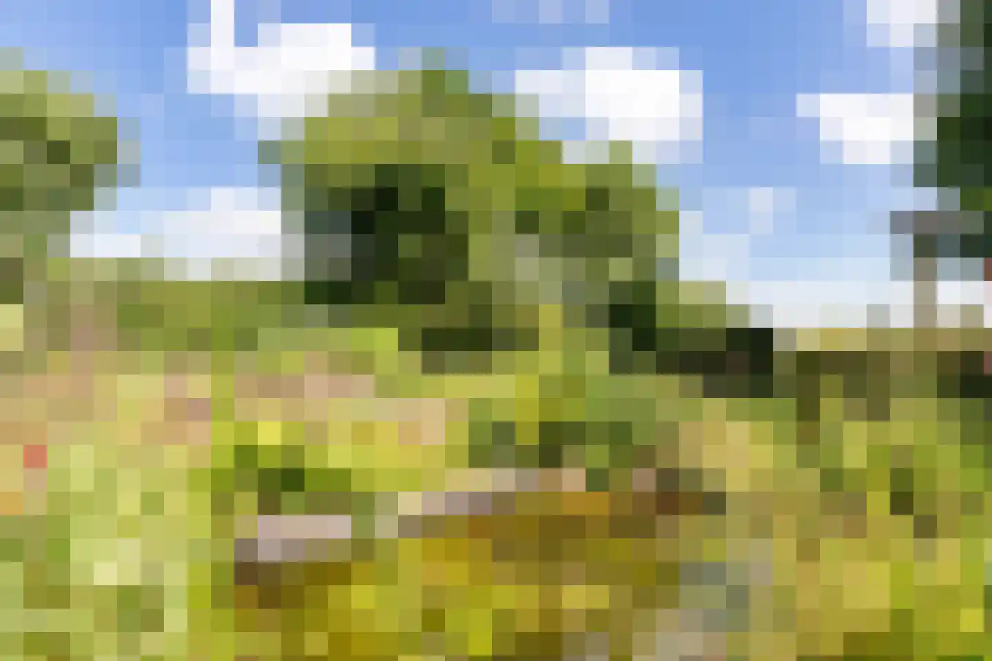 Wytlânspaed 2 B Bakhuizen thumbnail 45