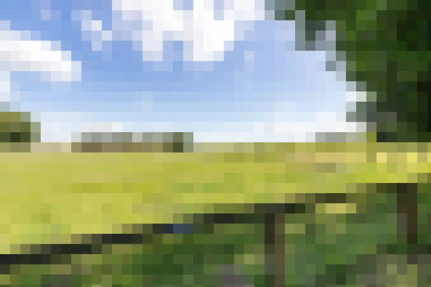 Wytlânspaed 2 B Bakhuizen thumbnail 46