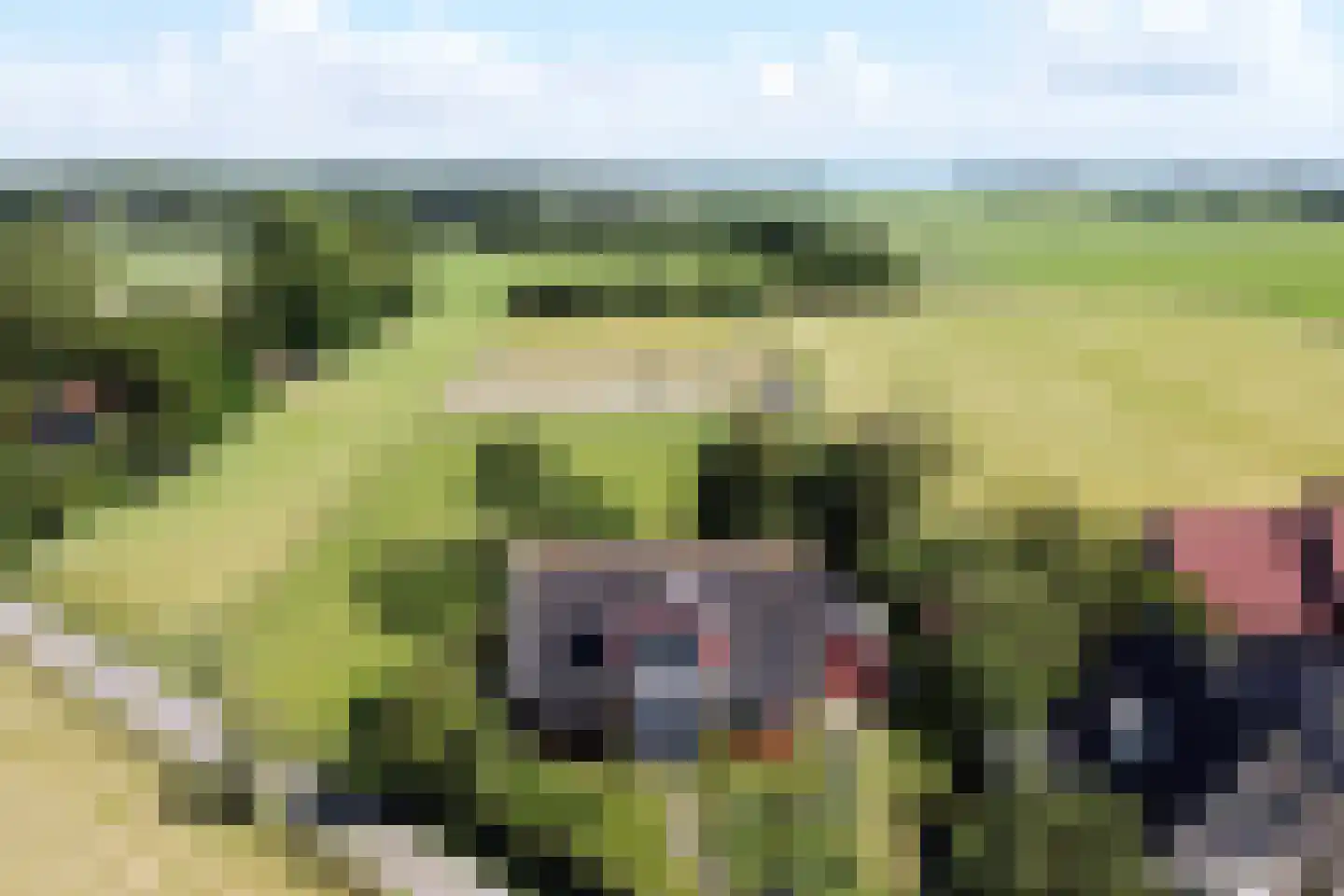 Wytlânspaed 2 B Bakhuizen thumbnail 50