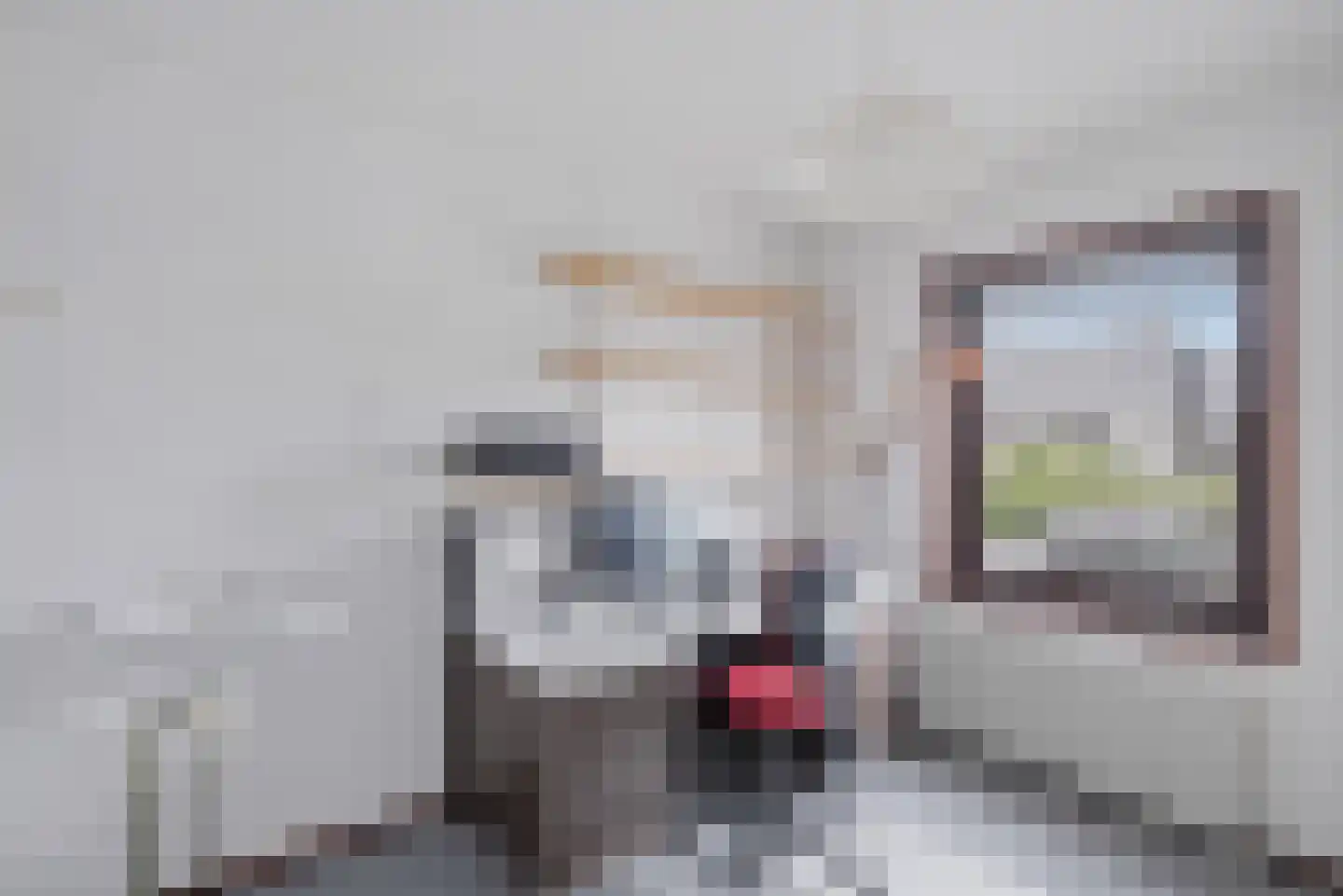 Wytze van Camminghastrjitte 7 Dronryp thumbnail 11