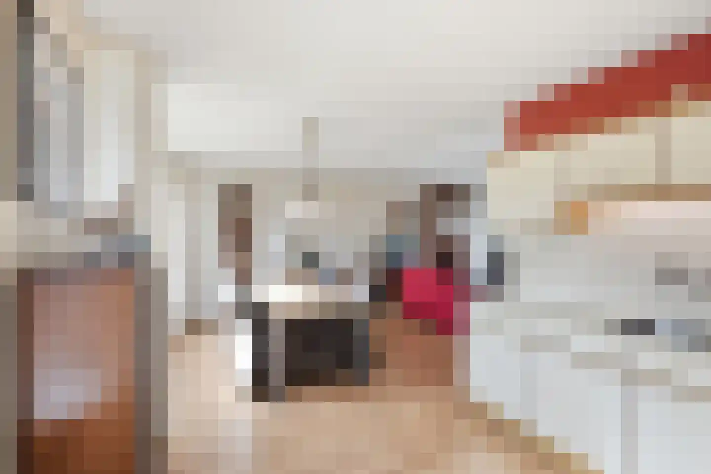 Wytze van Camminghastrjitte 7 Dronryp thumbnail 21