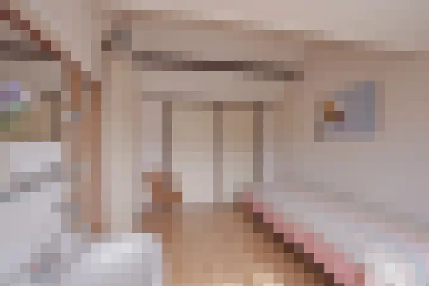 Wytze van Camminghastrjitte 7 Dronryp thumbnail 27
