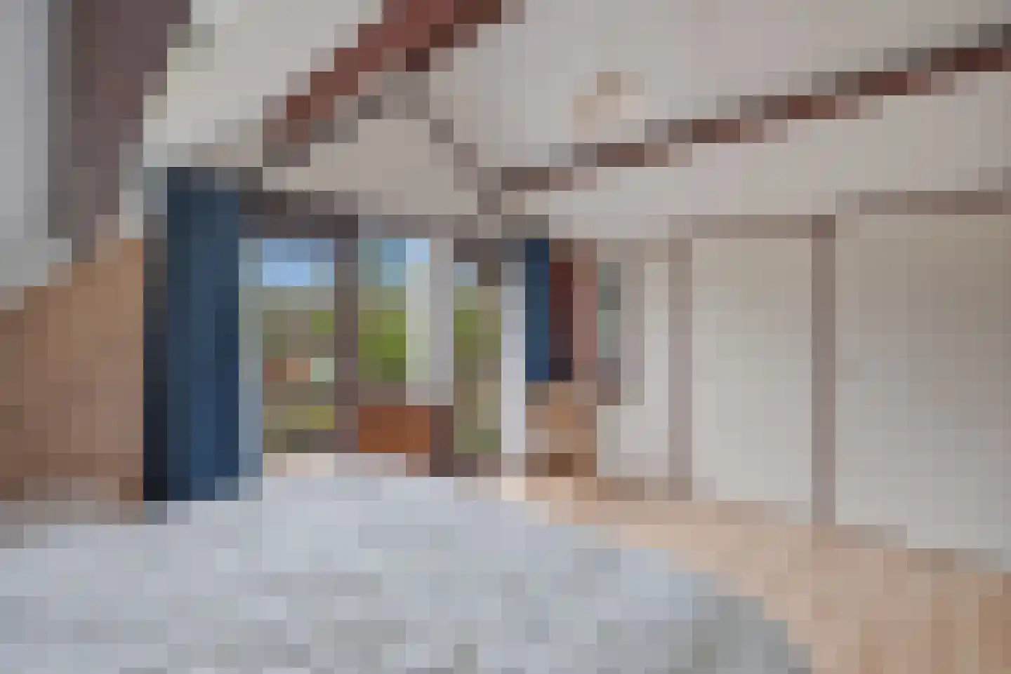 Wytze van Camminghastrjitte 7 Dronryp thumbnail 31