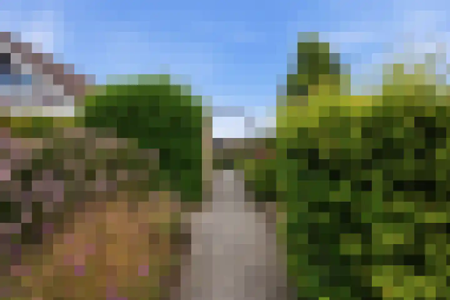 Wytze van Camminghastrjitte 7 Dronryp thumbnail 39