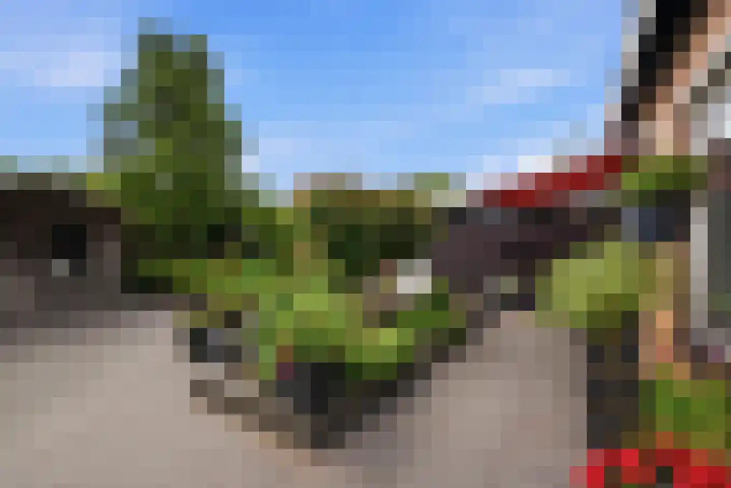 Wytze van Camminghastrjitte 7 Dronryp thumbnail 40
