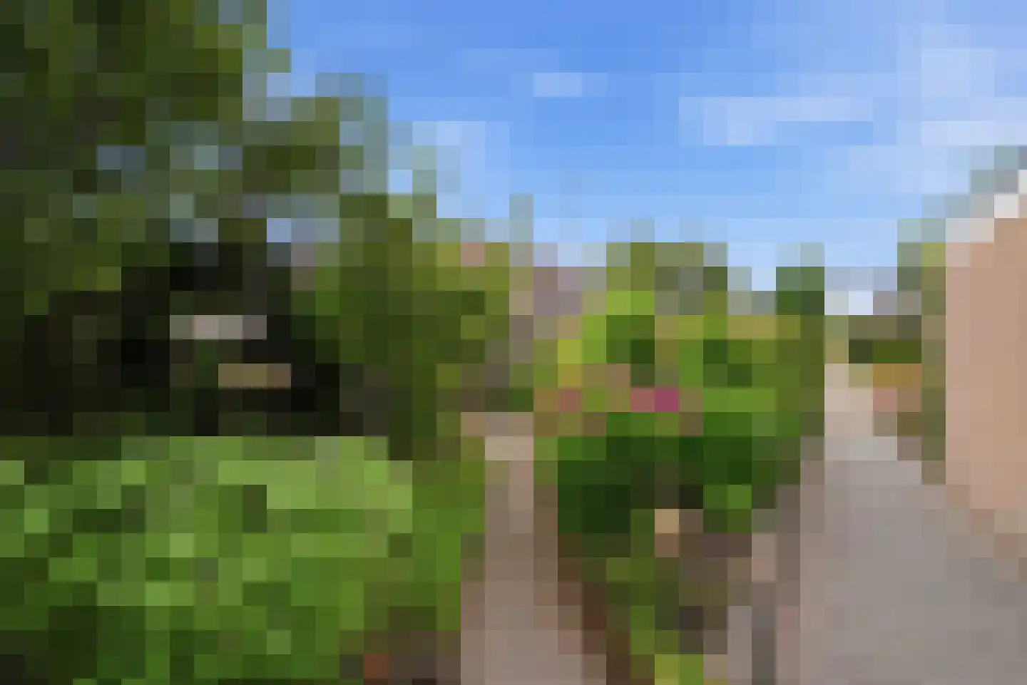 Wytze van Camminghastrjitte 7 Dronryp thumbnail 42