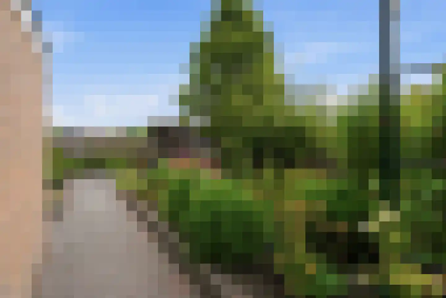 Wytze van Camminghastrjitte 7 Dronryp thumbnail 44