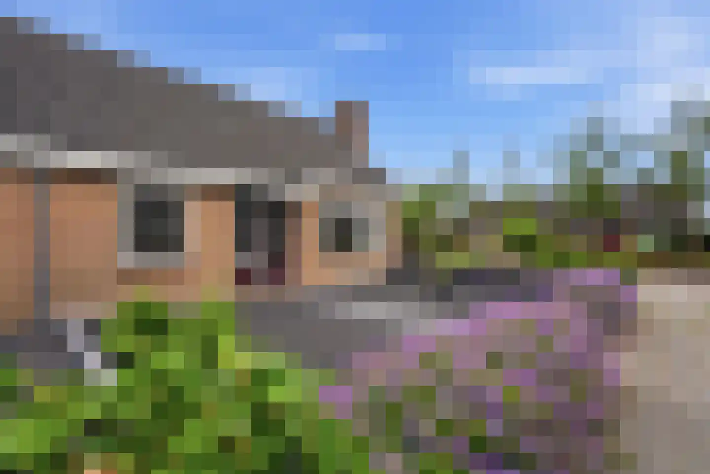 Wytze van Camminghastrjitte 7 Dronryp thumbnail 5