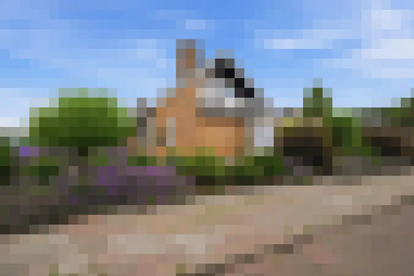 Wytze van Camminghastrjitte 7 Dronryp thumbnail 6