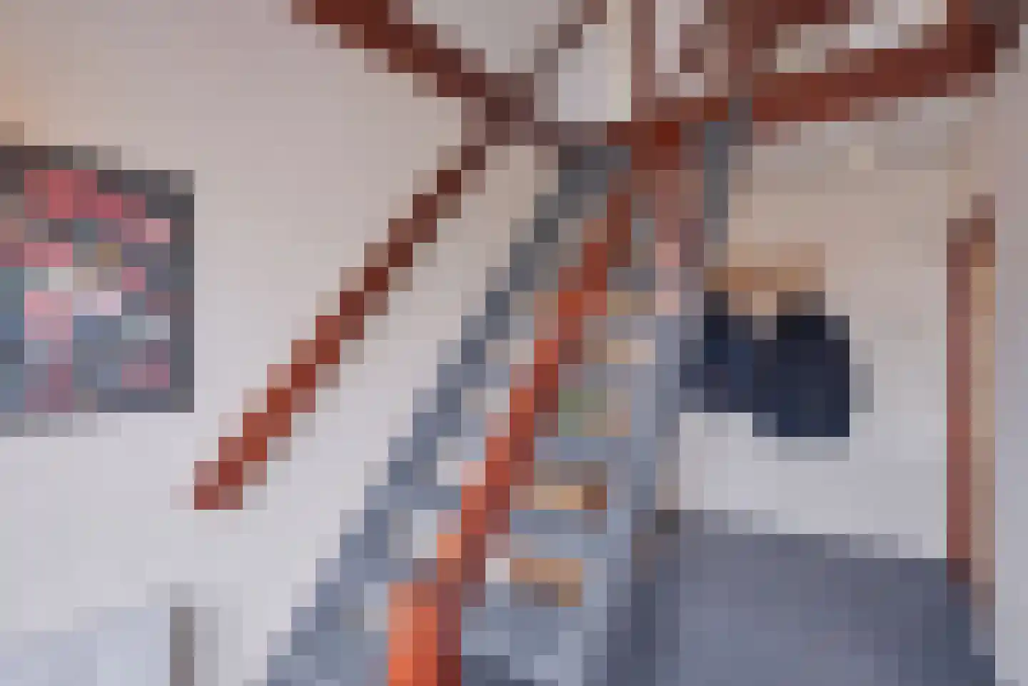 Wytze van Camminghastrjitte 7 Dronryp thumbnail 8