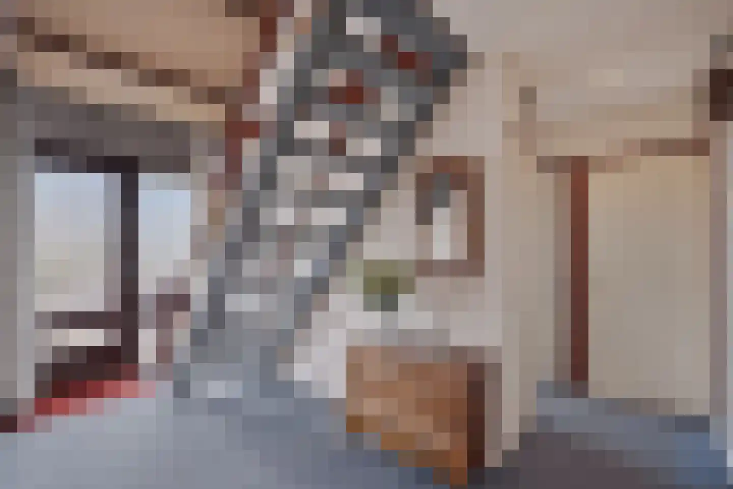 Wytze van Camminghastrjitte 7 Dronryp thumbnail 9