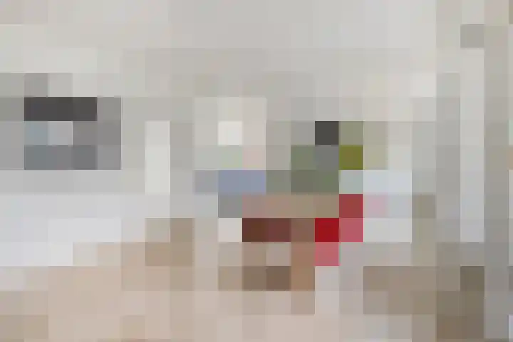 Xanthippehof 3 Eindhoven thumbnail 10