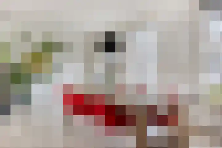 Xanthippehof 3 Eindhoven thumbnail 11