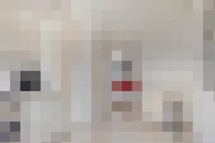 Xanthippehof 3 Eindhoven thumbnail 14