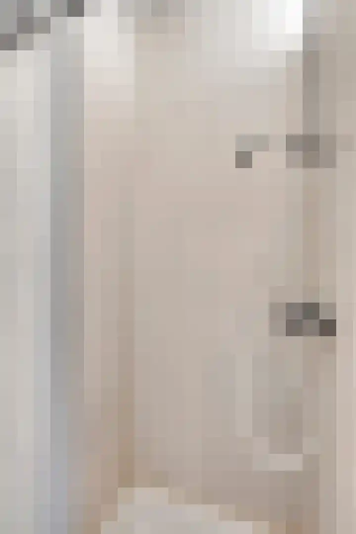 Xanthippehof 3 Eindhoven thumbnail 22