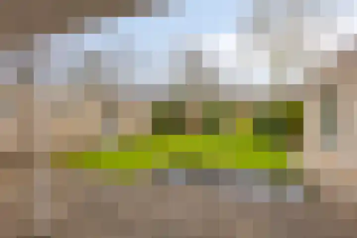 Xanthippehof 3 Eindhoven thumbnail 31