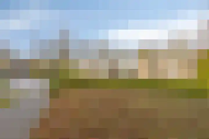 Xanthippehof 3 Eindhoven thumbnail 35