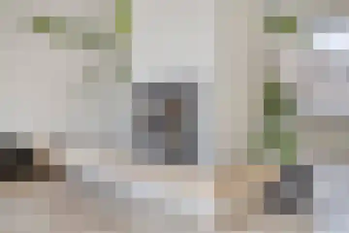 Xanthippehof 3 Eindhoven thumbnail 7