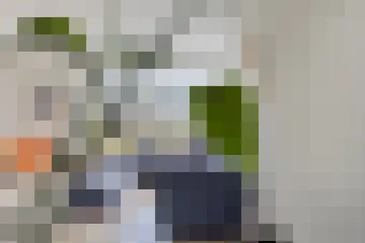 Xanthippehof 3 Eindhoven thumbnail 8