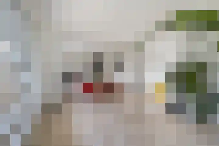 Xanthippehof 3 Eindhoven thumbnail 9