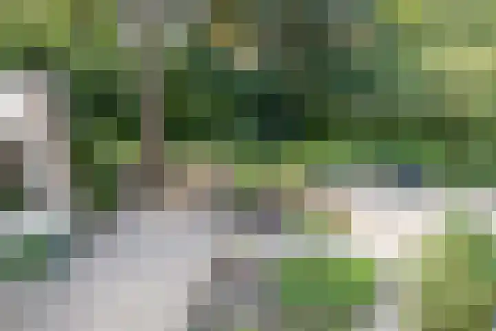 Xaveriuslaan 6 Driebergen-Rijsenburg thumbnail 35