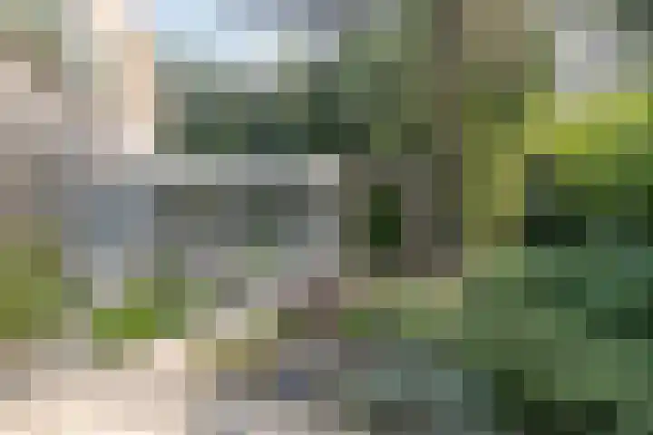 Xaveriuslaan 6 Driebergen-Rijsenburg thumbnail 36