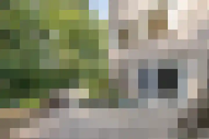Xaveriuslaan 6 Driebergen-Rijsenburg thumbnail 38