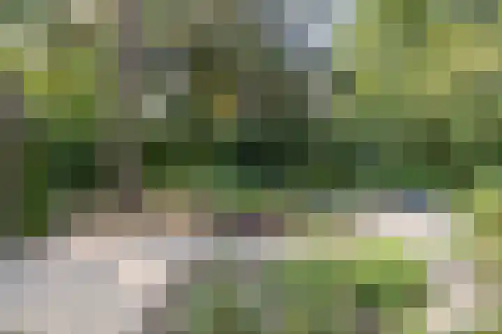 Xaveriuslaan 6 Driebergen-Rijsenburg thumbnail 39