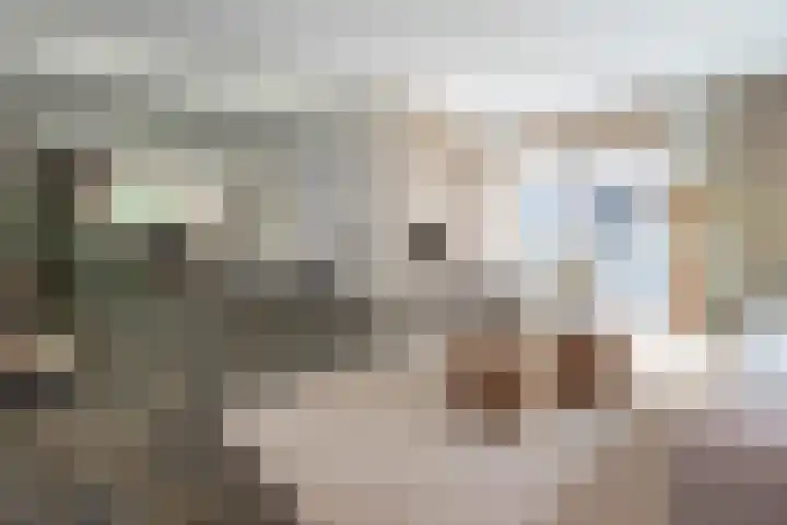 Xaveriuslaan 6 Driebergen-Rijsenburg thumbnail 4
