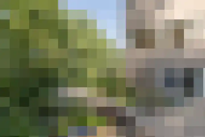 Xaveriuslaan 6 Driebergen-Rijsenburg thumbnail 44