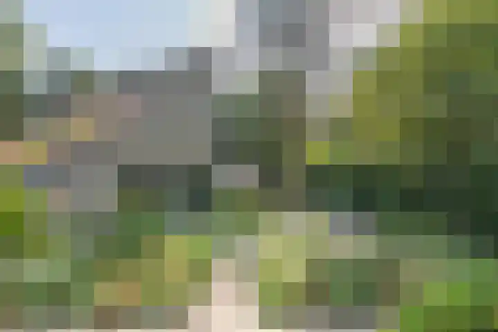 Xaveriuslaan 6 Driebergen-Rijsenburg thumbnail 45