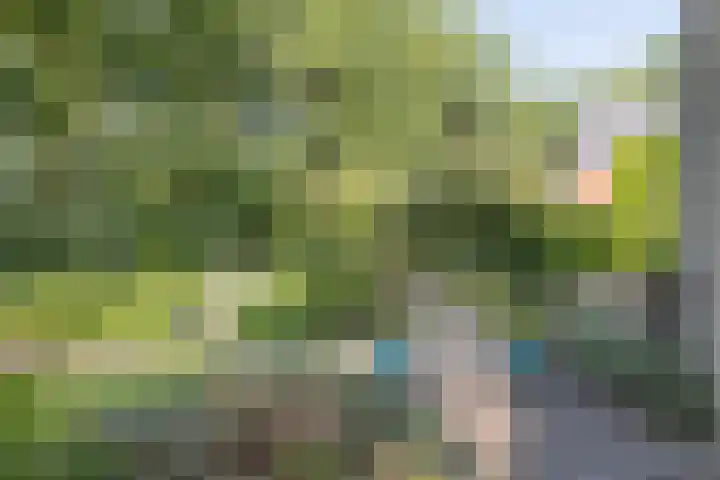 Xaveriuslaan 6 Driebergen-Rijsenburg thumbnail 46