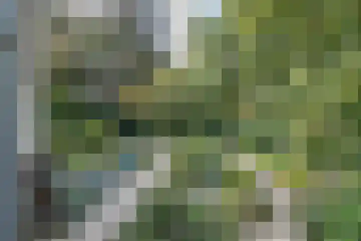 Xaveriuslaan 6 Driebergen-Rijsenburg thumbnail 47
