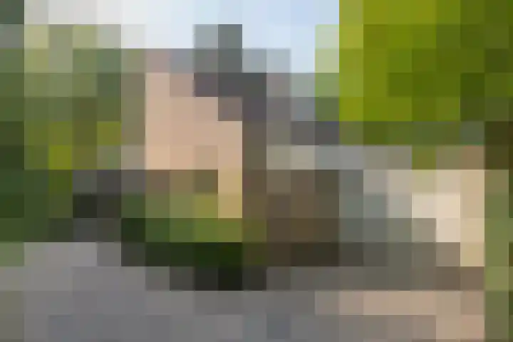 Xaveriuslaan 6 Driebergen-Rijsenburg thumbnail 48