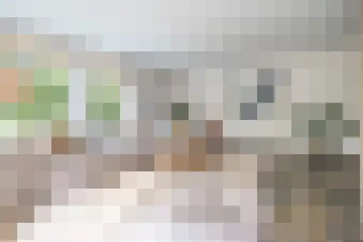 Xaveriuslaan 6 Driebergen-Rijsenburg thumbnail 5