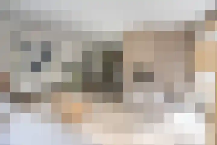 Xaveriuslaan 6 Driebergen-Rijsenburg thumbnail 6