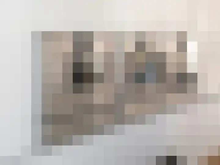 Xylofoonlaan 3 Eindhoven thumbnail 10