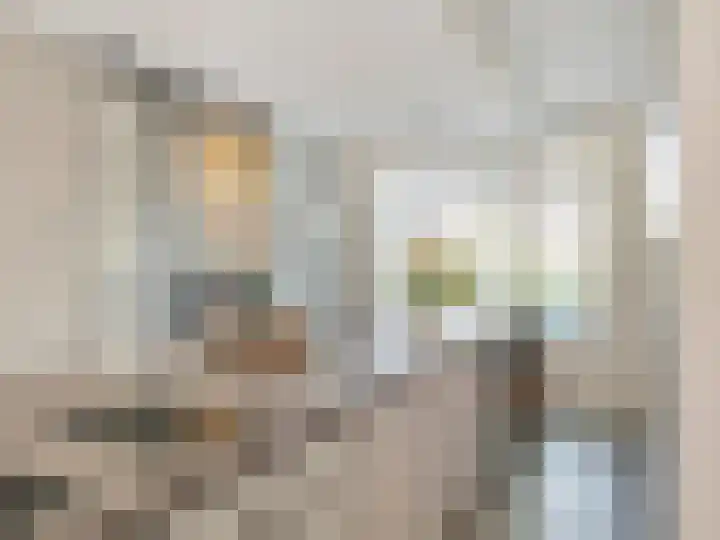 Xylofoonlaan 3 Eindhoven thumbnail 11