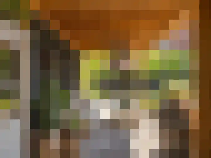 Xylofoonlaan 3 Eindhoven thumbnail 21