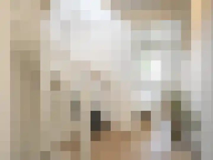 Xylofoonlaan 3 Eindhoven thumbnail 22