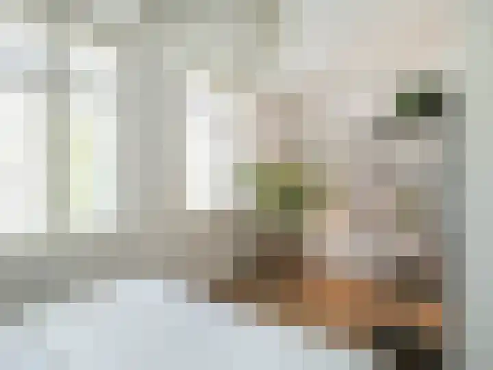 Xylofoonlaan 3 Eindhoven thumbnail 25