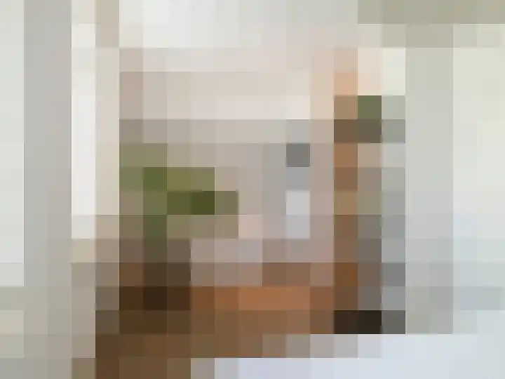 Xylofoonlaan 3 Eindhoven thumbnail 26