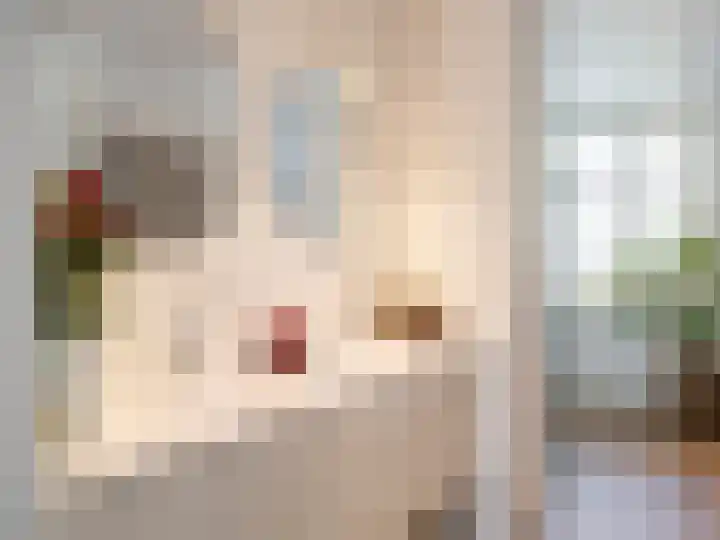 Xylofoonlaan 3 Eindhoven thumbnail 28