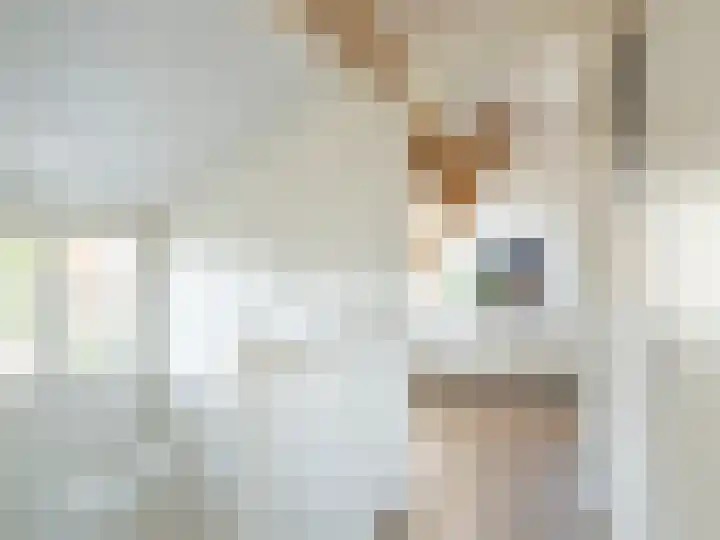 Xylofoonlaan 3 Eindhoven thumbnail 31