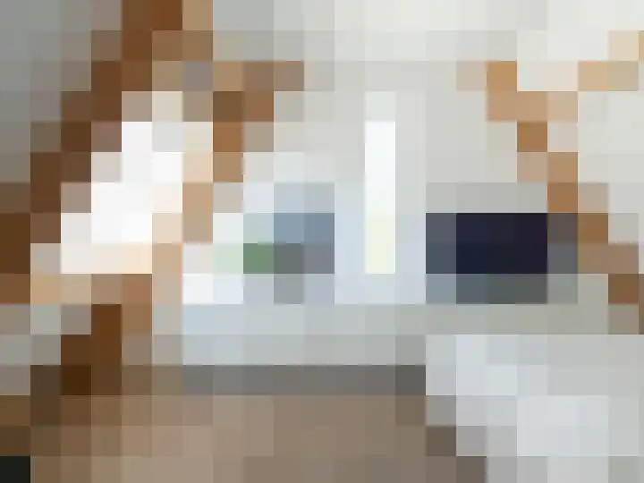 Xylofoonlaan 3 Eindhoven thumbnail 32