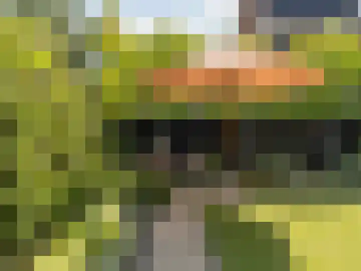 Xylofoonlaan 3 Eindhoven thumbnail 39