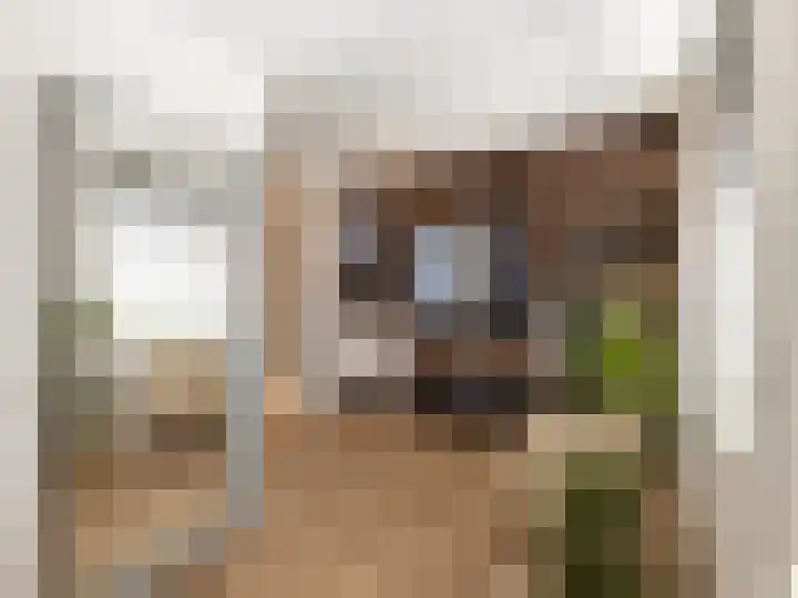 Xylofoonlaan 3 Eindhoven thumbnail 4